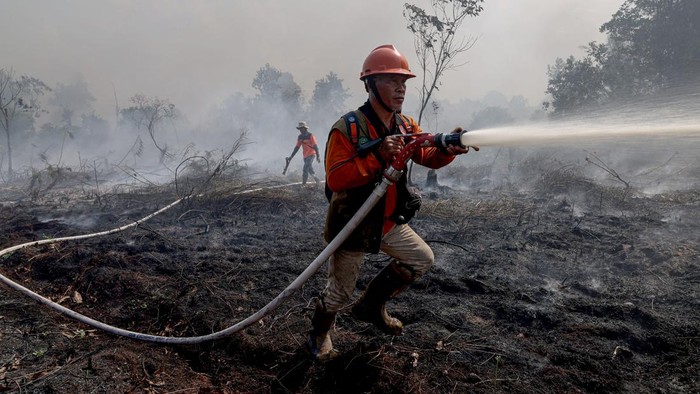 Komisi IV DPR Dorong Pemerintah Libatkan Masyarakat dalam Penanganan Karhutla
