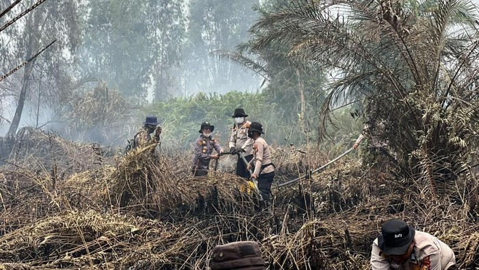 Polisi Tangkap Pria 26 Tahun di Muara Angke atas Dugaan Kekerasan Seksual terhadap Remaja